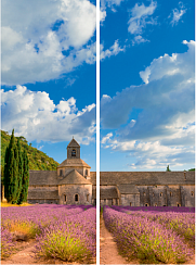 Лаванда 120.1