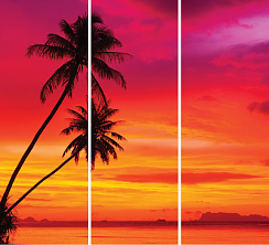 Пальмы на закате 071.1