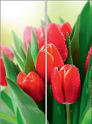 Букет тюльпанов 008.2