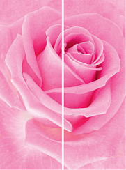 Розовая роза 060.2