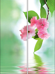 Цветы у воды 019.2