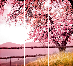 Цветущее дерево 020.1