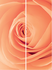 Бутон розы 054.2