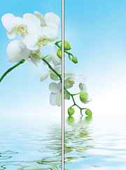 Цветы у воды 029.2