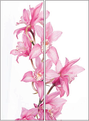 Розовые цветы 024.2