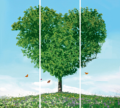 Романтика 009.1