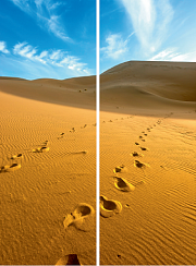 Следы в пустыне 091.1