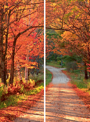 Золотая осень 037.1