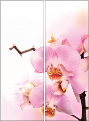 Орхидея 026.2