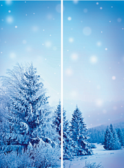 Зимний лес 017.1