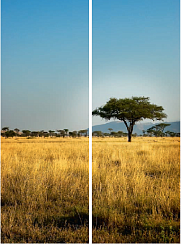 Саванна 123.2