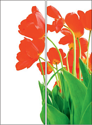 Тюльпаны 009.2