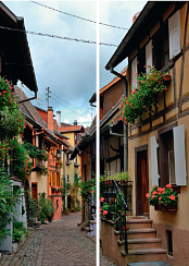 Фасады с цветами 097.2