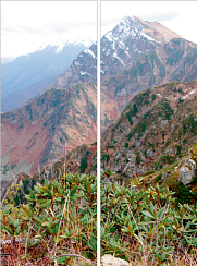 Природа 048.1