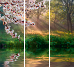 Природа 012.2