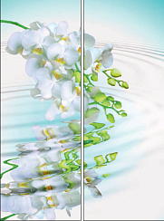 Цветы у воды 031.2