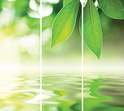 Природа 002.1