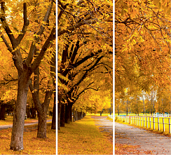 Осенняя аллея 036.1