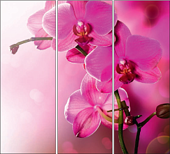 Орхидея 039.2