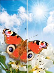 Бабочка 040.2