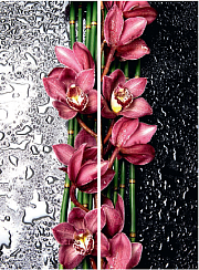 Черное белое 037.2