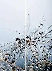 Капли воды 044.2