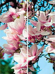 Цветущее дерево 042.2