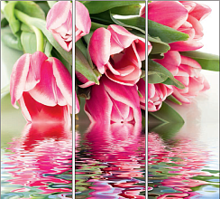 Розовые тюльпаны 010.2