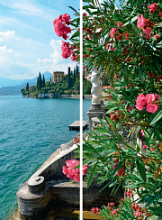 Летний вид 043.2