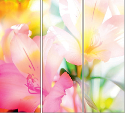 Розовые лилии 004.2