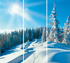 Зимний лес 015.1