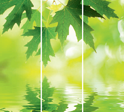 Кленовые листья 067.2