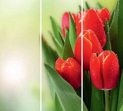 Букет тюльпанов 011.2