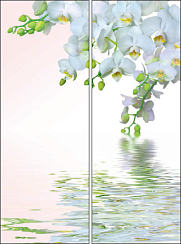 Цветы у воды 030.2