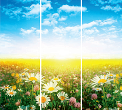 Цветы в поле 046.2