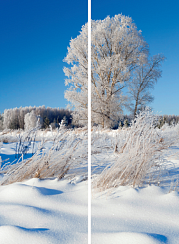 Зимний лес 018.1