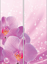 Орхидея 025.2