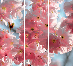 Розовые цветы 015.2