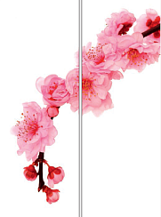 Розовые цветы 018.2