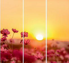 Цветы в поле 080.1