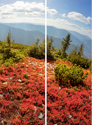 Природа 038.1